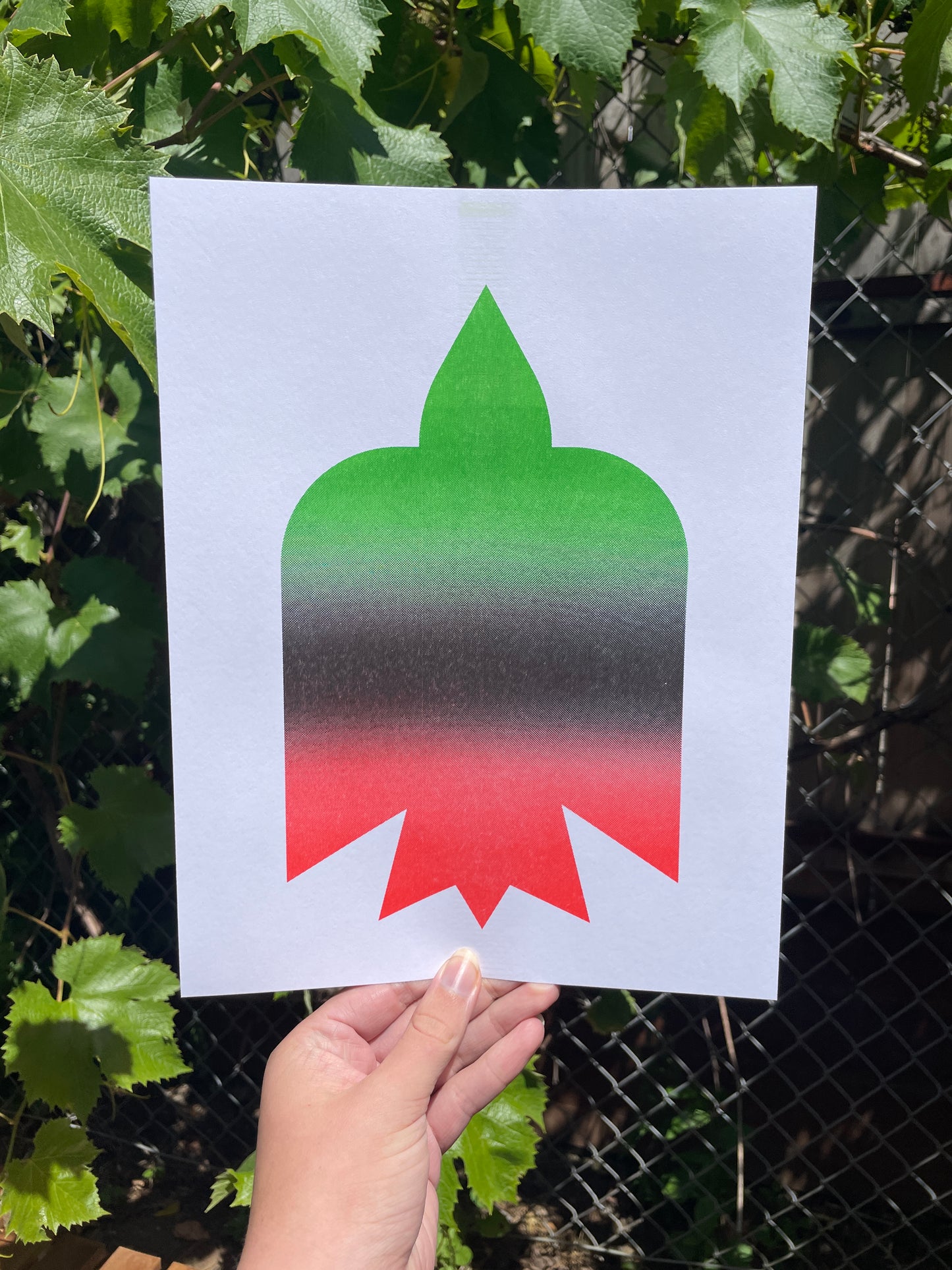 gaza riso print