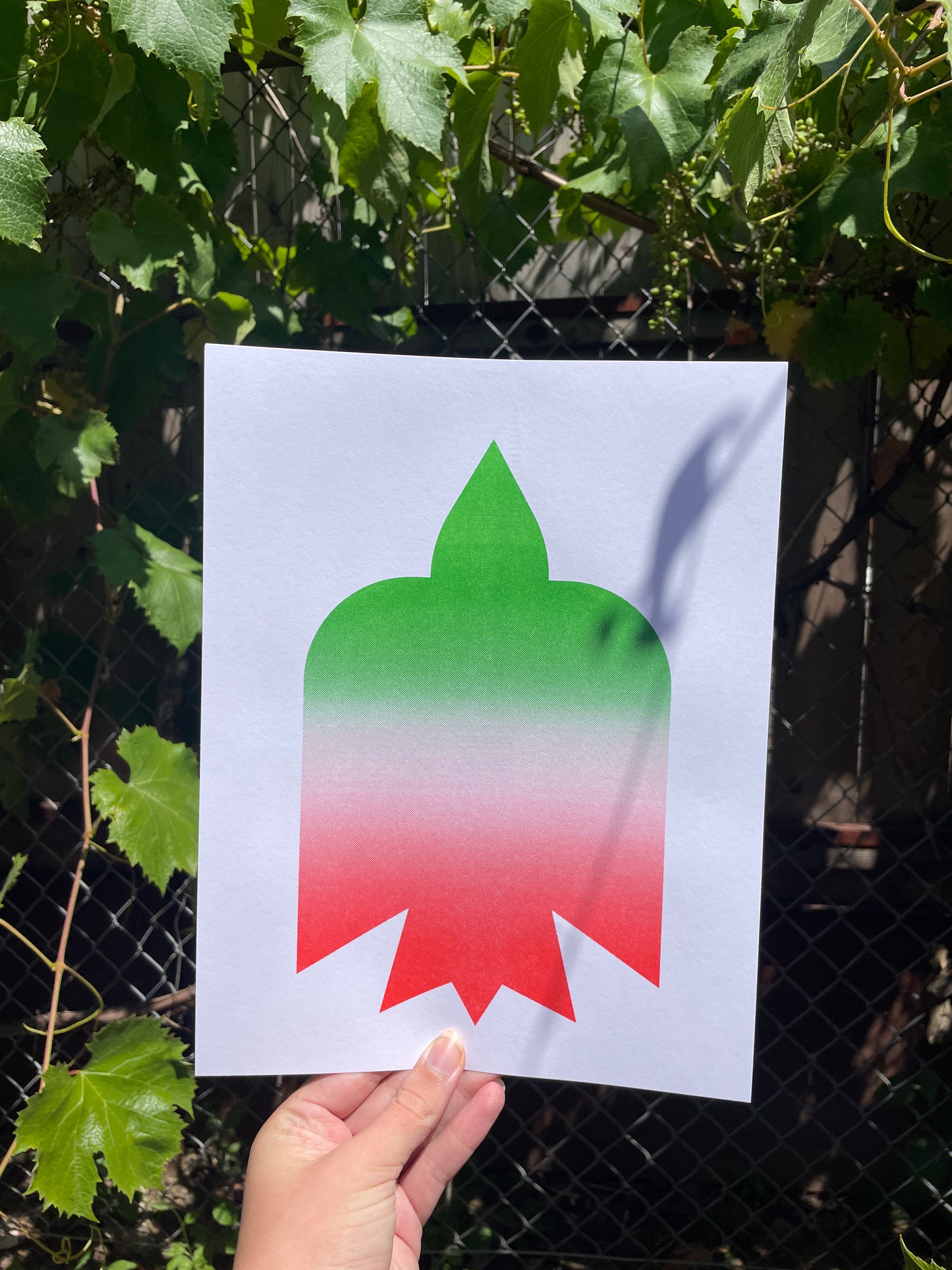 gaza riso print