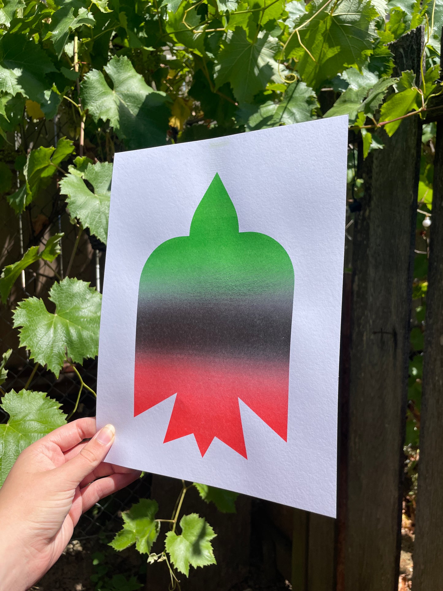 gaza riso print